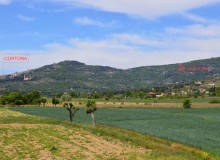 FATTORIA ECOTURISTICA LE CORCHIE