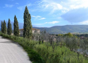 FATTORIA ECOTURISTICA LE CORCHIE